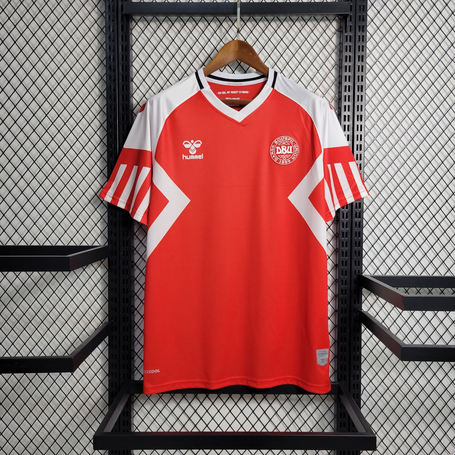 Camisa Dinamarca I 23/24