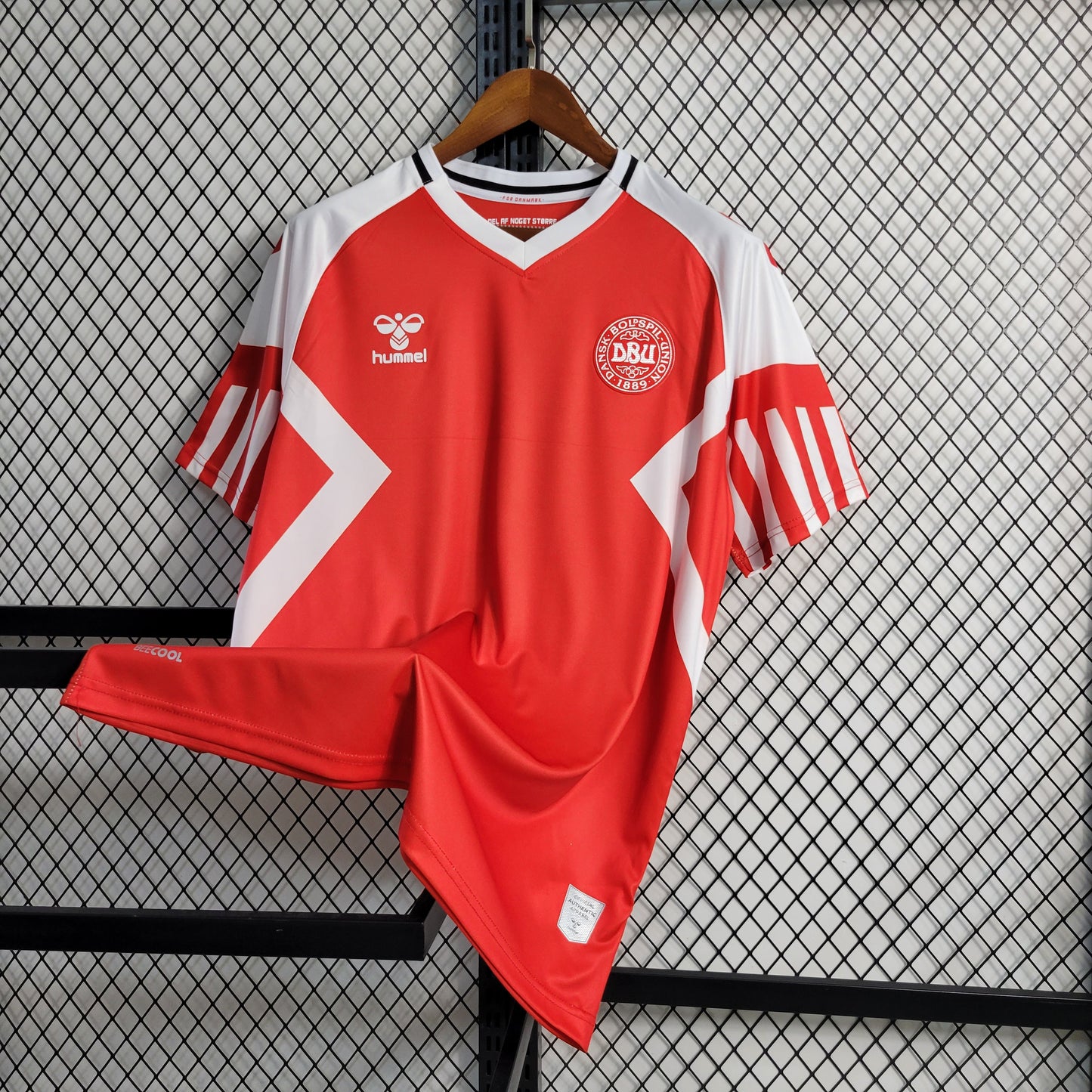 Camisa Dinamarca I 23/24